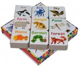 A Big Box of Little Books