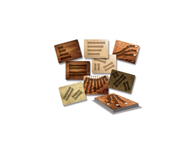 AKCJA - IDENTYFIKACJA