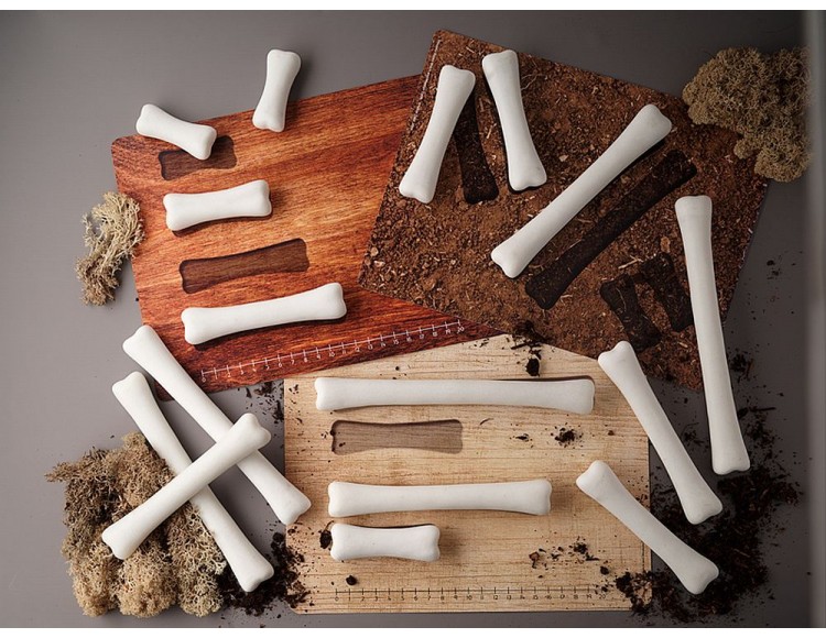 AKCJA - IDENTYFIKACJA