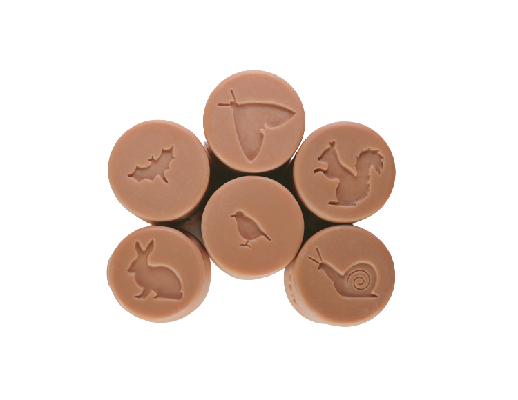 KTO MIESZKA W LESIE?