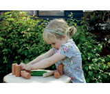 KTO MIESZKA W LESIE?