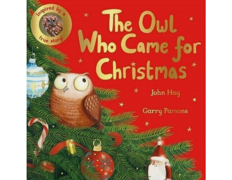 The Owl Who Came for Christmas