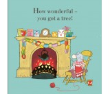 We Disagree About This Tree