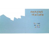 Amazing Teacher